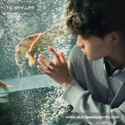 嵇嵘琚