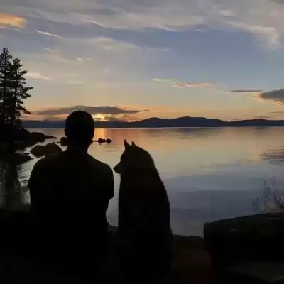仰映容